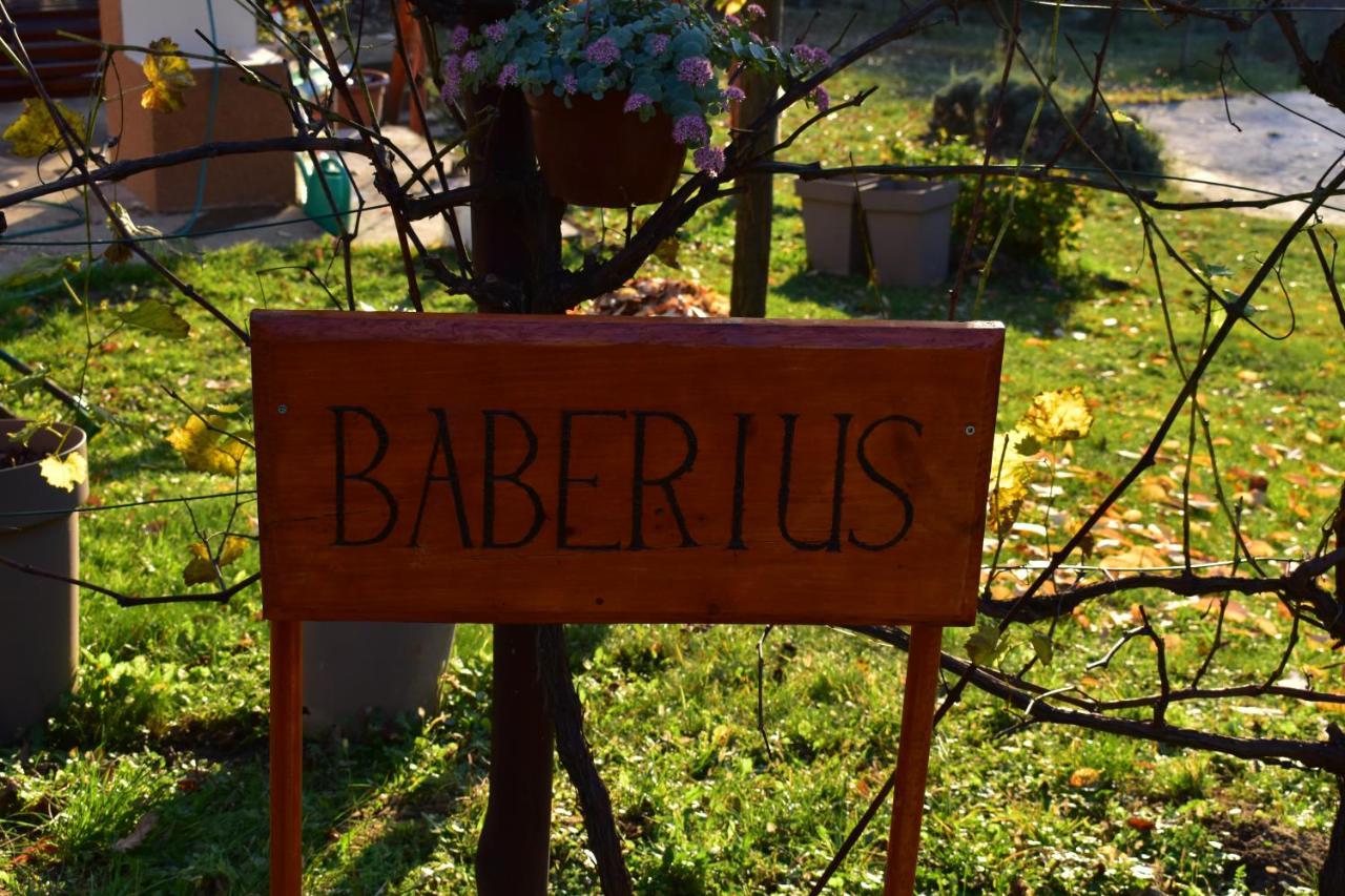 Willa Baberius Zewnętrze zdjęcie